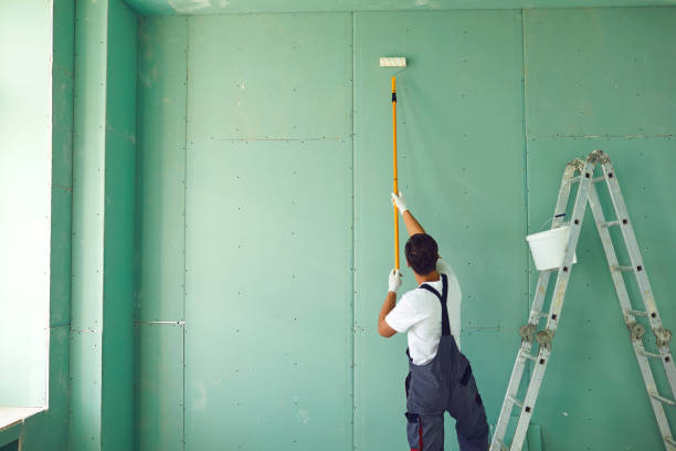 Best Water Damage & Mold Remediation  in Scottville, MI