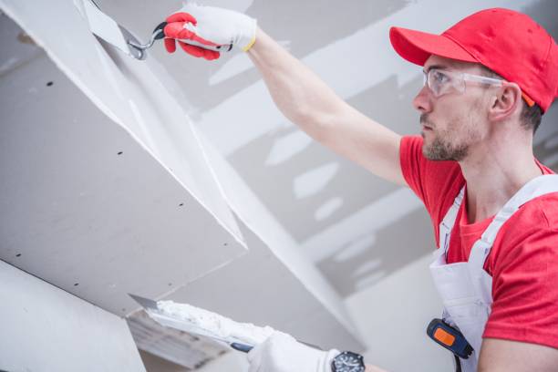 Best Mold Removal for HVAC Installations  in Scottville, MI